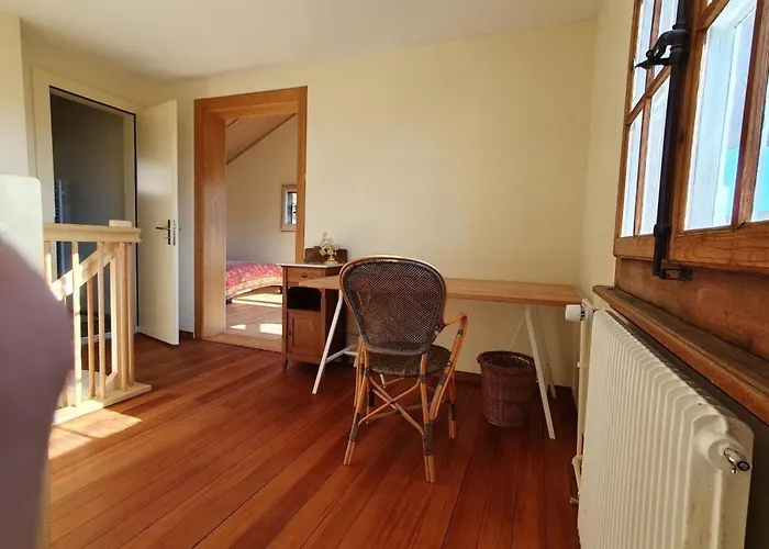 Im Ruhigen Berner Gartenquartier By Interhome Liebefeld